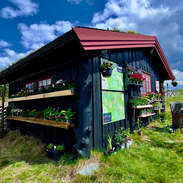En liten, sort trebygning med rødt tak, dekorert med blomsterpotter og et kart på veggen, under en blå himmel med skyer.