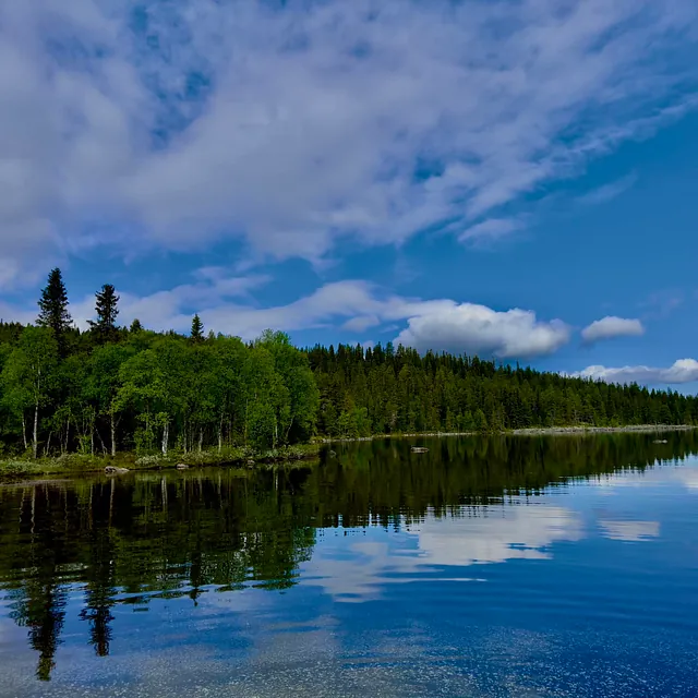En skogkant speiler seg i en stille innsjø under en delvis skyet himmel.