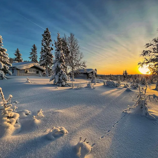Et vinterlandskap med snøtunge trær og en hytte, der solen går ned og kaster lange skygger over snødekket.