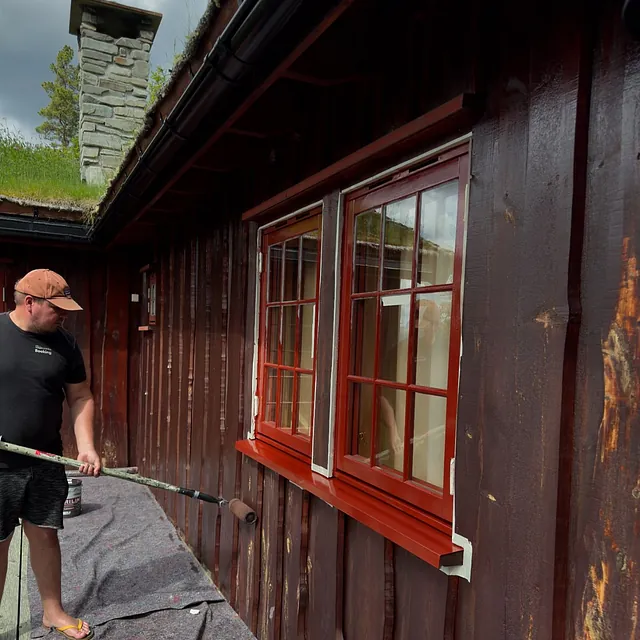 En mann maler en mørk trehytte med rød maling rundt et vindu med sprosser.